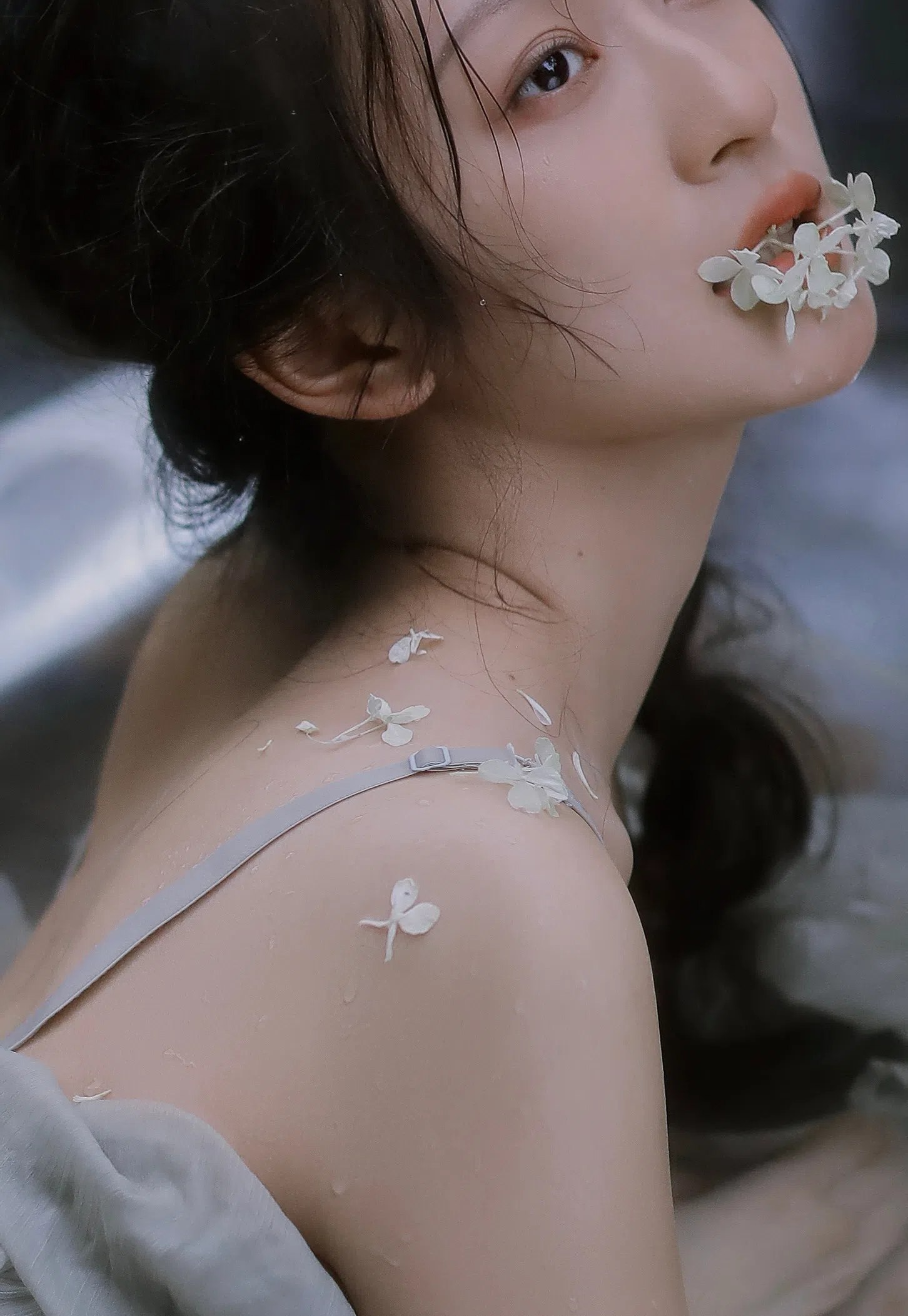 欧美视频不卡 欧美视频不卡