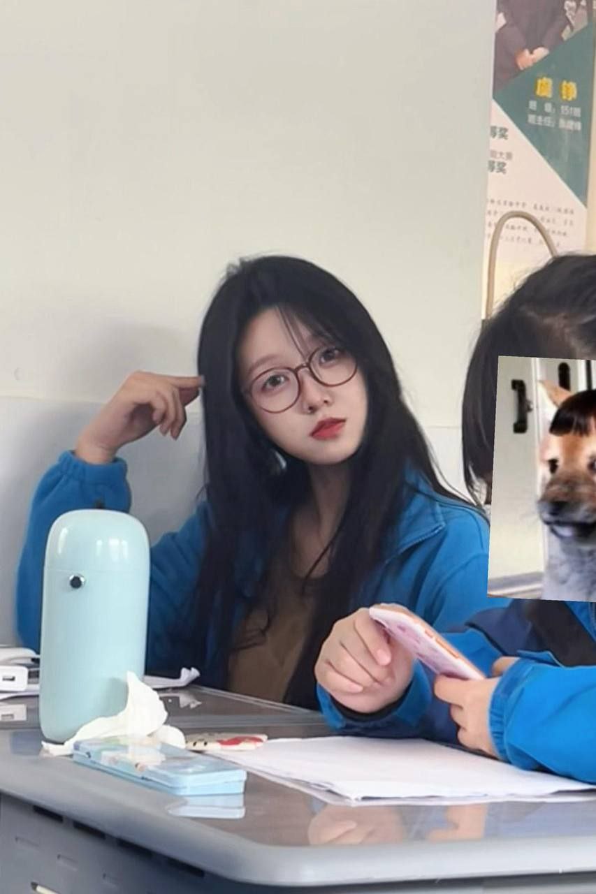 亚洲区与欧美区 亚洲区与欧美区