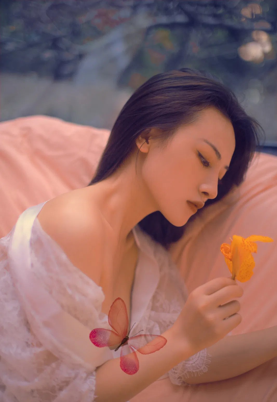 红杏导航 红杏导航