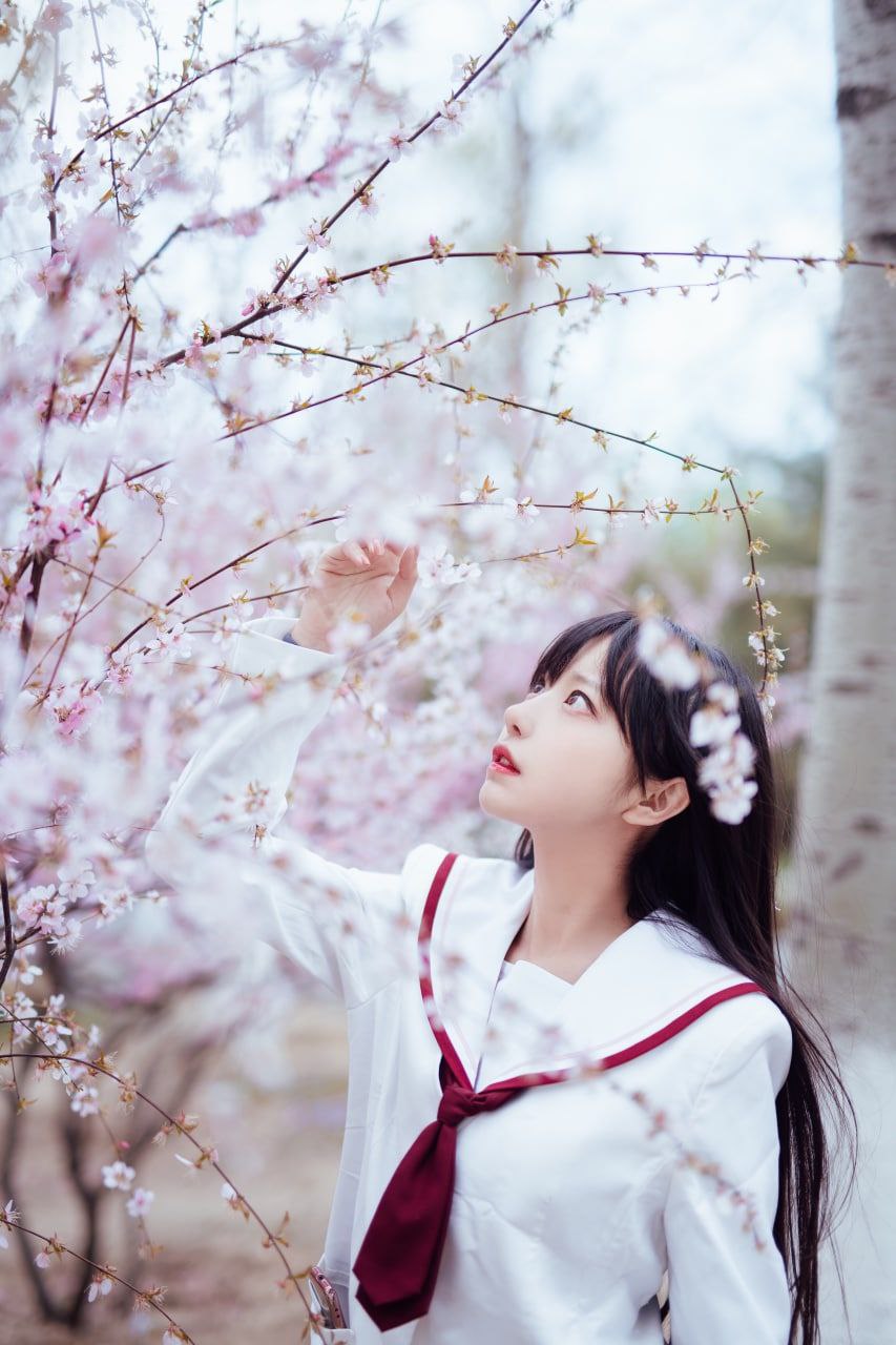 野花免费观看 野花免费观看