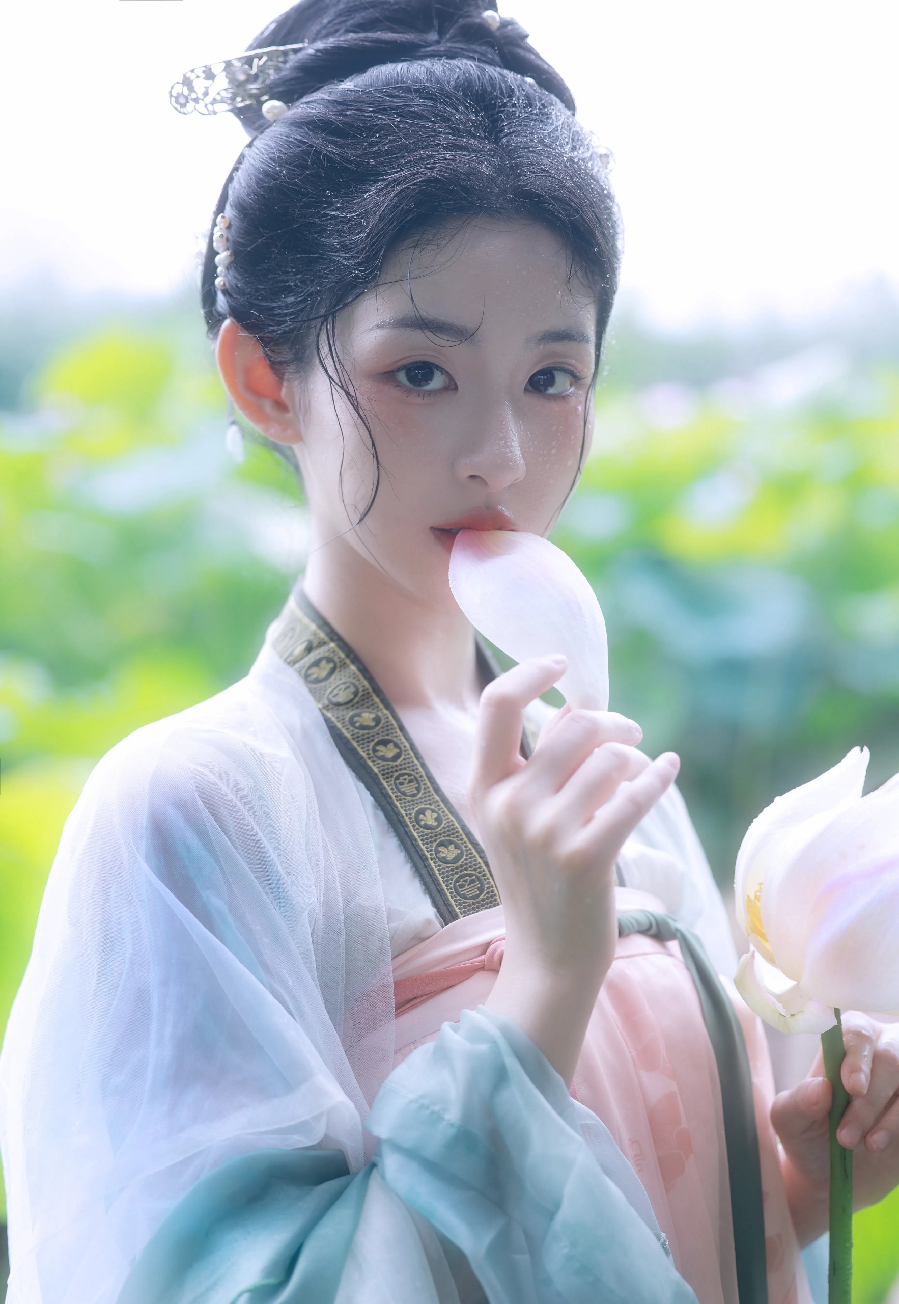 加利福利亚洲在哪 加利福利亚洲在哪